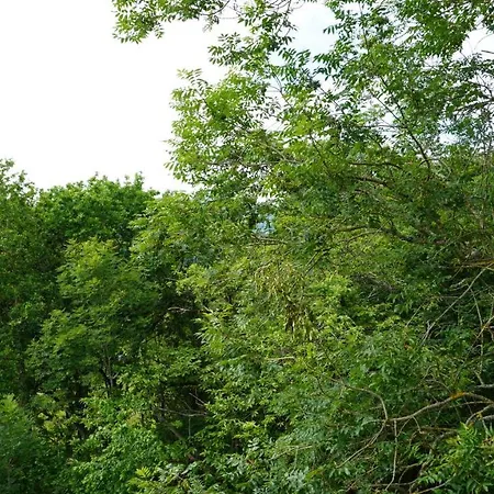 Casa Escuela De - La Casona De Torín