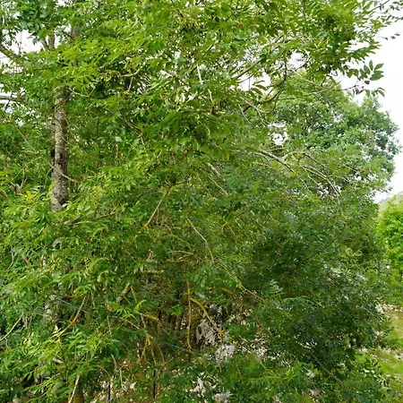 Casa Escuela De - La Casona De